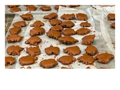 Chocolate Turtles